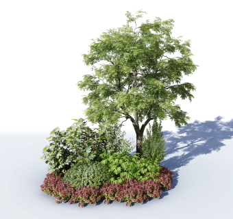 现代树，景观植物绿植su草图模型下载