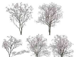 现代树，<em>春景</em>植物树su草图模型下载