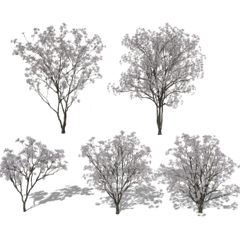 现代树，春景植物树su草图模型下载