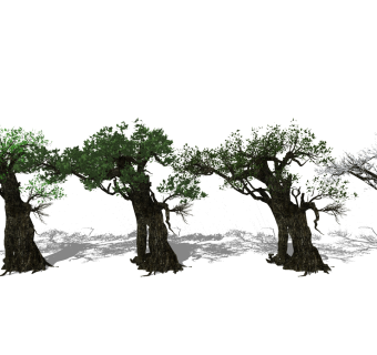 大树，古树，雪景树su草图模型下载