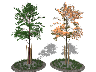 现代树，<em>小树</em>树坑su草图<em>模型</em>下载