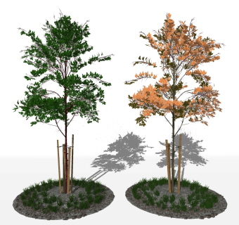 现代树，小树树坑su草图模型下载