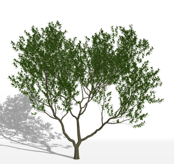 现代树su草图模型下载