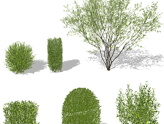 <em>灌木景观</em>树矮树su草图模型下载