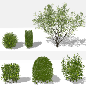 灌木景观树矮树su草图模型下载
