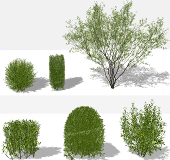 灌木景观树矮树su草图模型下载