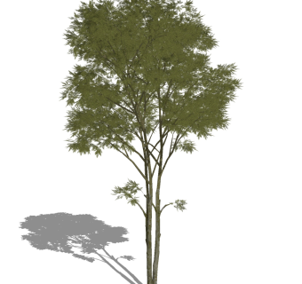 树木，树su草图模型下载