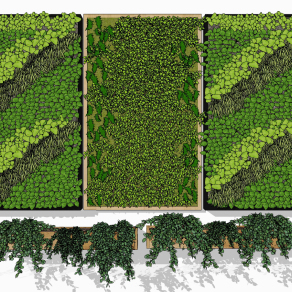植物墙su草图模型下载