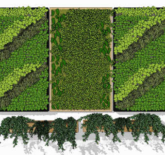 植物墙su草图模型下载