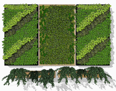 植物墙su草图模型下载