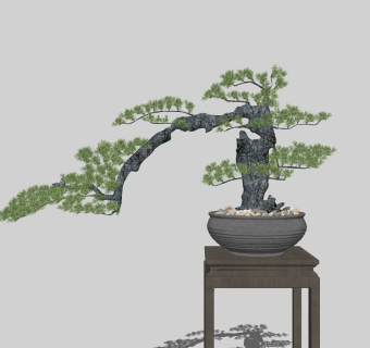 新中式盆景su草图模型下载