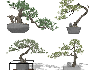 新中式盆栽植物su草图模型下载