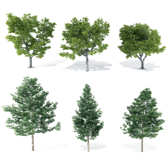 现代树su草图模型下载