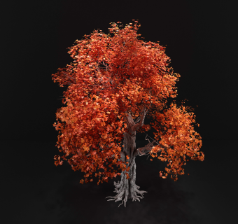 现代树su草图模型下载