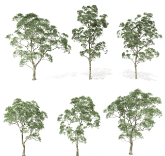 现代树su草图模型下载