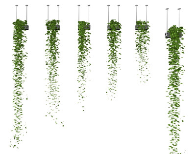 现代吊篮藤蔓su草图模型下载