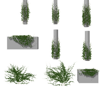 现代爬墙虎植物藤蔓su草图模型下载