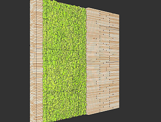 现代<em>苔藓</em>植物，绿植墙su草图模型下载