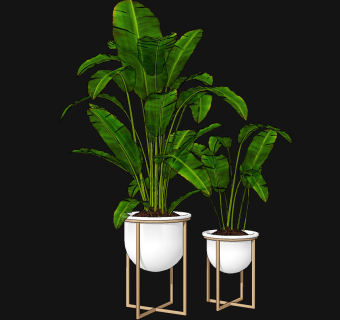 现代绿植盆栽su草图模型下载