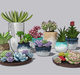 现代多肉植物盆栽su草图模型下载