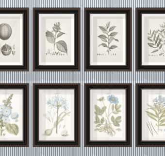 美式欧式植物装饰画，挂画su草图模型下载