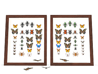 现代蝴蝶昆虫标本挂件su草图模型下载