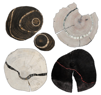 现代木桩年轮挂件，墙饰su草图模型下载