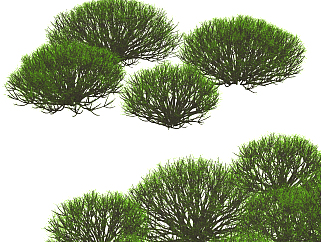 现代绿植灌木,<em>矮树</em>su草图模型下载