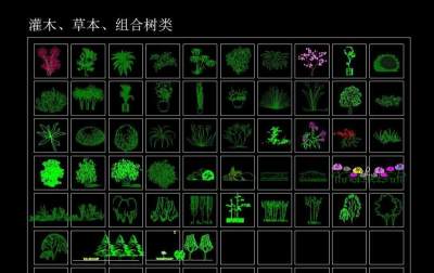 CAD立面树块大全