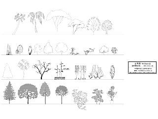 园林立面植物CAD图例