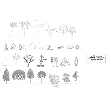 园林立面植物CAD图例