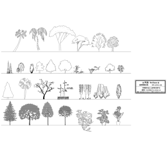 园林立面植物CAD图例