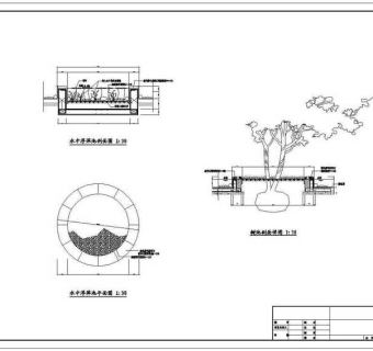 公园景观规划设计水中树池与浮萍CAD图