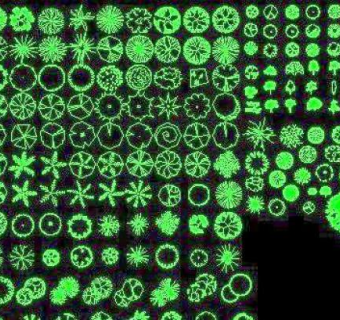 园林景观设计植被CAD素材