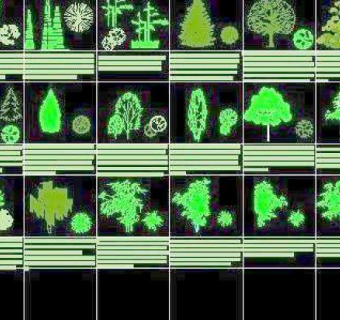 各种类CAD立面树造型图例图块素材