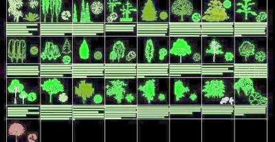 各种类CAD立面树造型图例图块素材