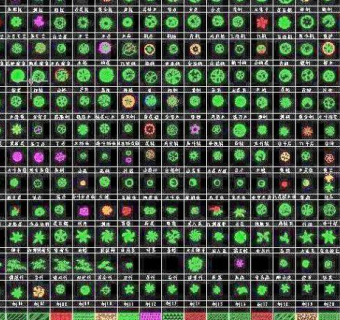 数百种CAD平面树图例（带有文字说明）