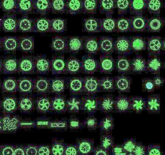 CAD植物平面图例图库
