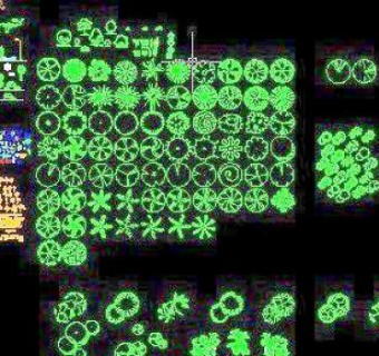 很全面的CAD植物图库图块人物图块