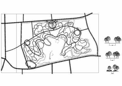 县城某公园道路分析CAD图纸