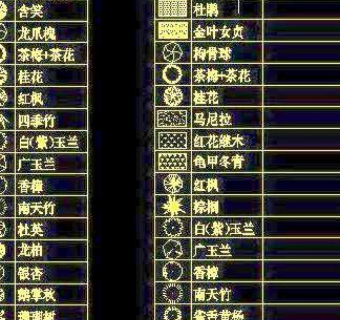园林苗木表CAD格式