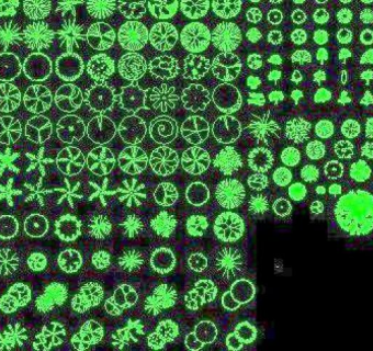 园林CAD常用植物图库图块素材