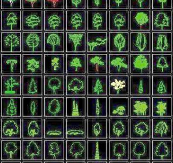 一些植物平面以及立面的CAD图