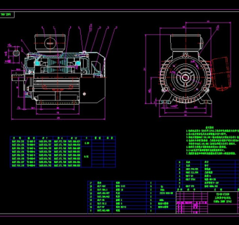 电机全套CAD加工图纸