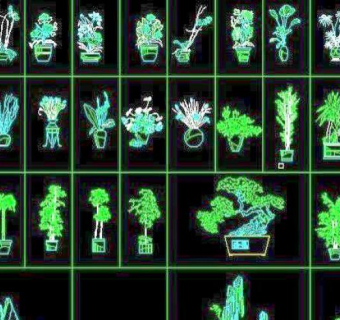 31个选室内植物CAD立面图