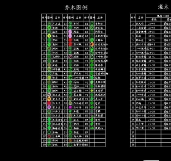 CAD植物苗木表