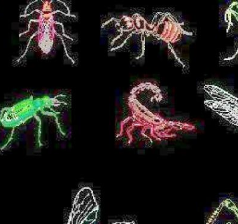 动物类小品cad图