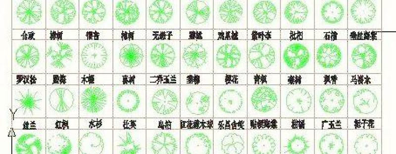 园林植物cad图例