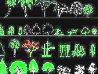 园林立面植物图例CAD