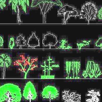 园林立面植物图例CAD